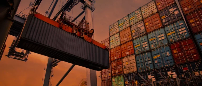 A large port crane lifting a shipping container, representing the complex logistics networks where hidden freight billing errors occur.